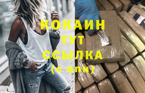 прущий лед Алзамай