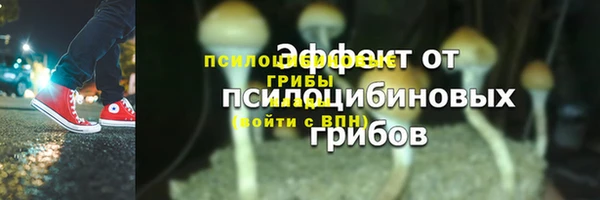 прущий лед Алзамай
