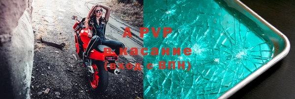 прущий лед Алзамай