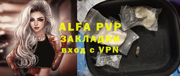 прущий лед Алзамай