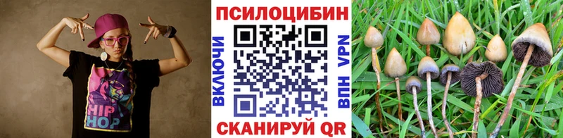 blacksprut онион Беломорск Псилоцибиновые грибы мухоморы купить закладку
