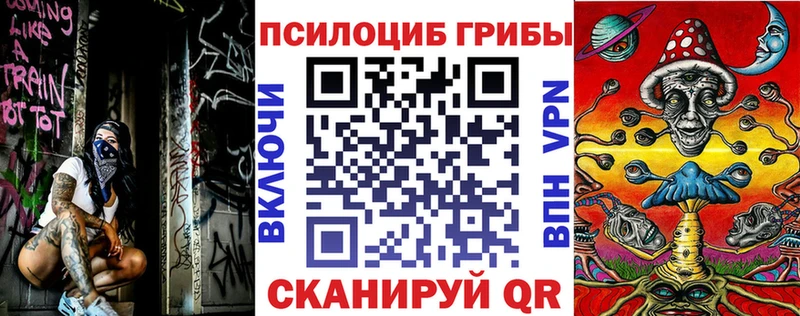 Псилоцибиновые грибы мицелий Беломорск